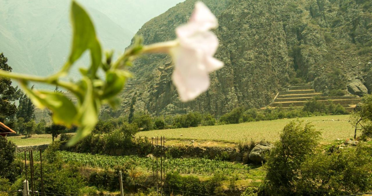 Inka Khawarina Tambo Lodge Ollantaytambo Exterior photo